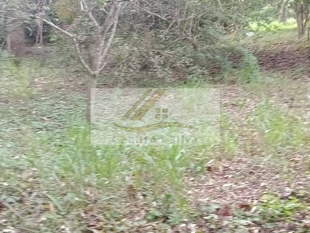 #781 - Terreno para Venda em Ibiúna - SP - 2