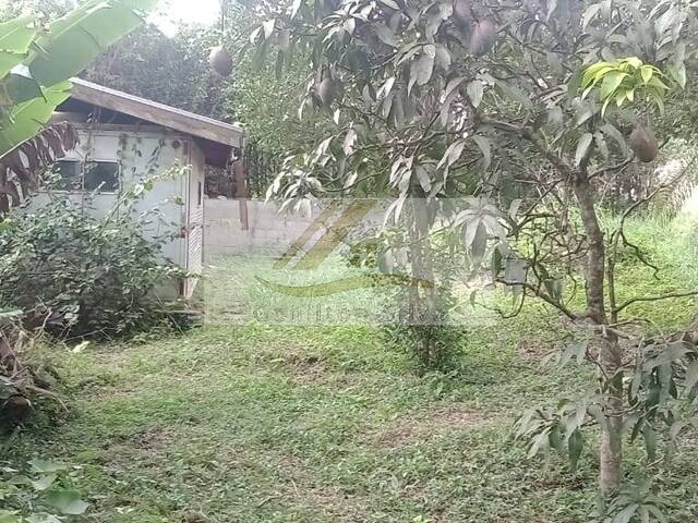 #781 - Terreno para Venda em Ibiúna - SP - 3