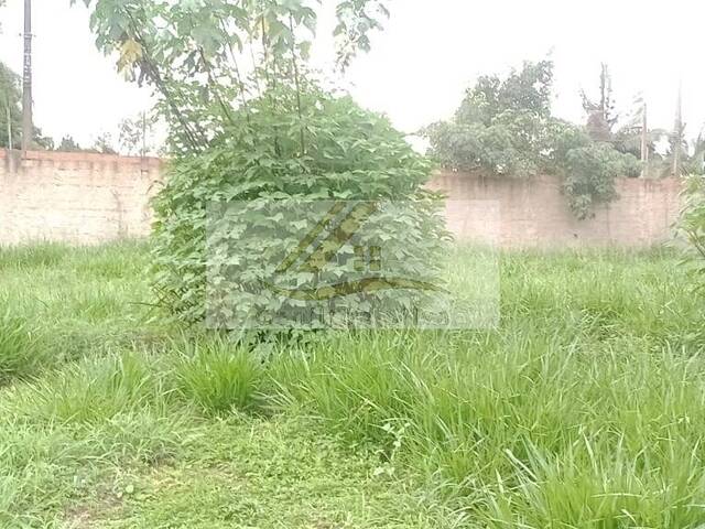 #784 - Terreno para Venda em Ibiúna - SP - 2