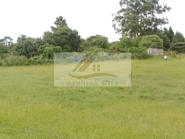 #787 - Terreno para Venda em Ibiúna - SP - 3