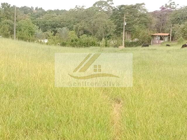 #788 - Terreno para Venda em Ibiúna - SP - 3