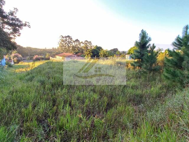 #806 - Terreno para Venda em Ibiúna - SP - 1