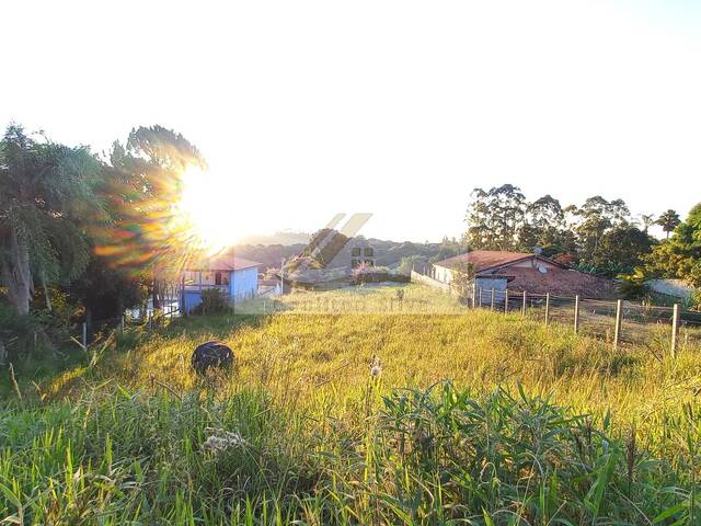 #806 - Terreno para Venda em Ibiúna - SP - 2