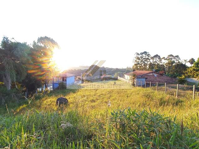 Terreno para Venda em Ibiúna - 4