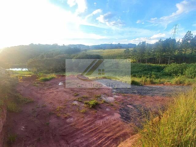#825 - Terreno para Venda em Ibiúna - SP - 1