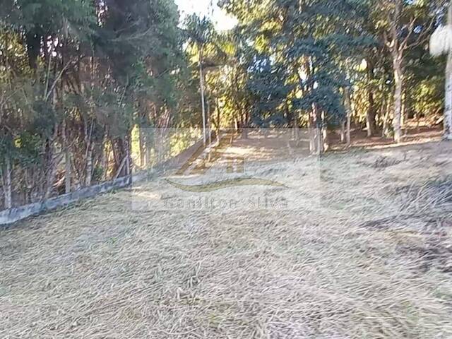 #827 - Terreno para Venda em Ibiúna - SP - 3