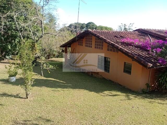 Venda em centro - Ibiúna