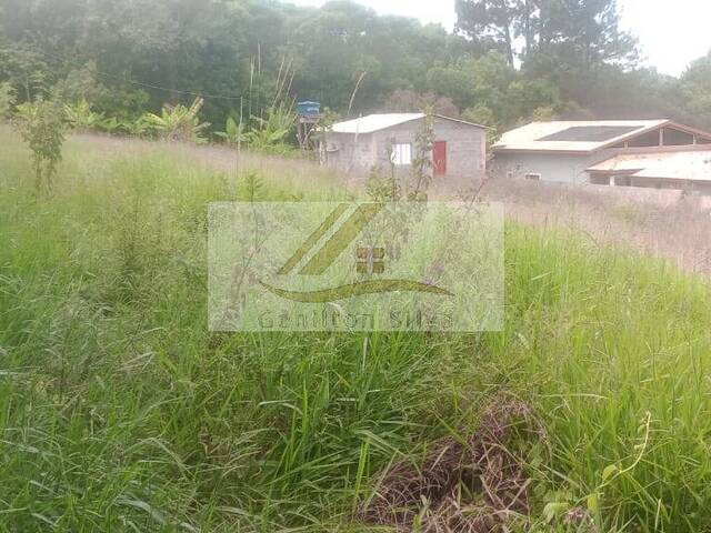 Terreno para Venda em Ibiúna - 5