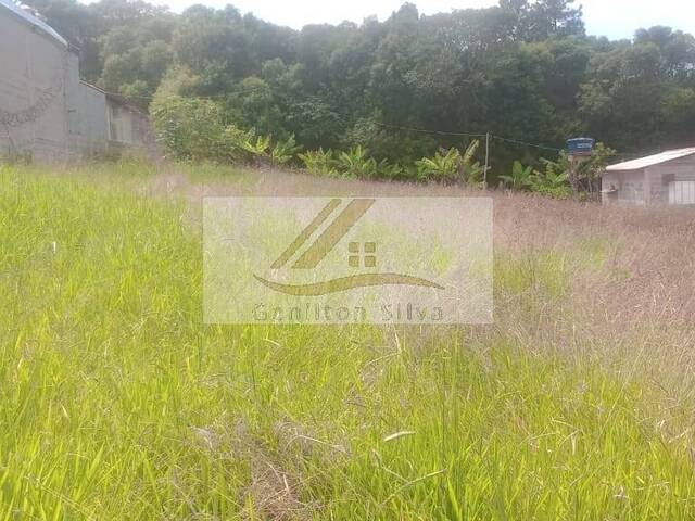 Terreno para Venda em Ibiúna - 4