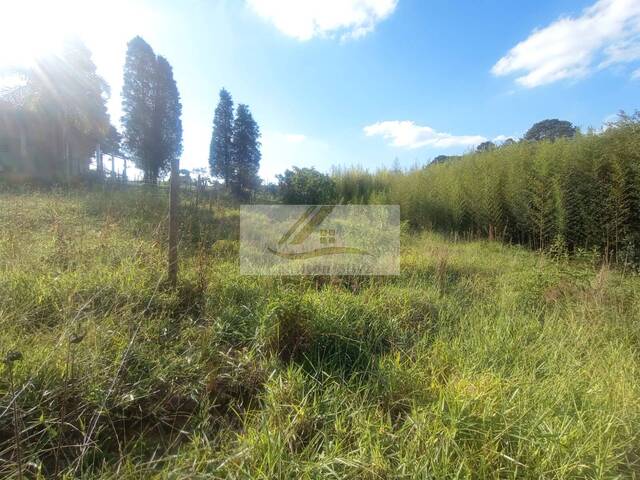 #854 - Terreno para Venda em Ibiúna - SP - 3