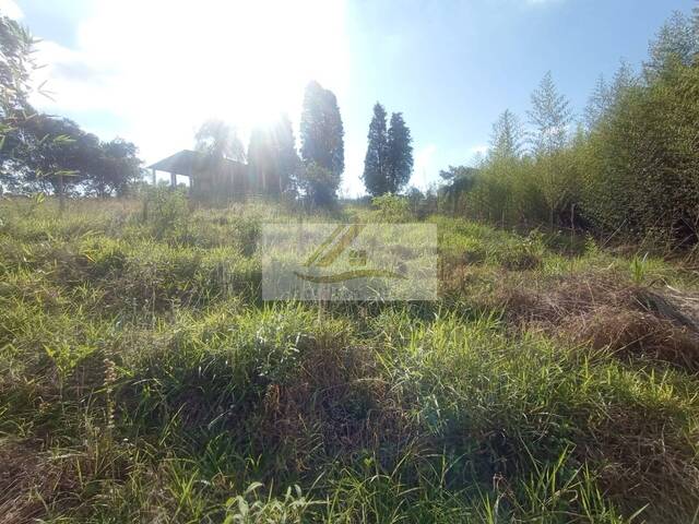 Terreno para Venda em Ibiúna - 5