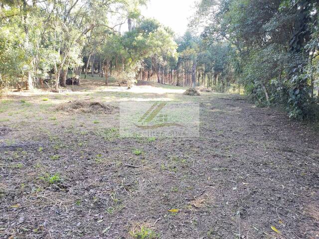 #859 - Terreno para Venda em Ibiúna - SP - 1