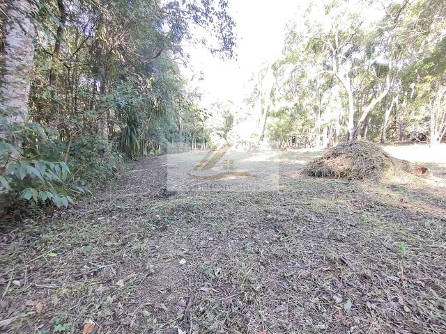 #859 - Terreno para Venda em Ibiúna - SP - 3