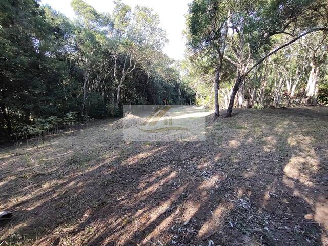 Terreno para Venda em Ibiúna - 4