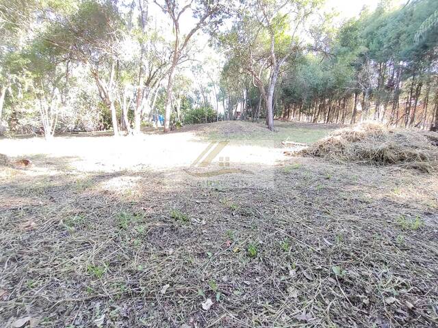 Terreno para Venda em Ibiúna - 5