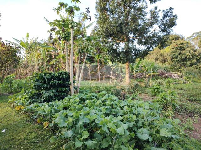 Terreno para Venda em Ibiúna - 4