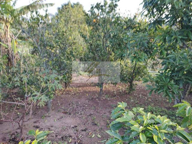 #871 - Terreno para Venda em Ibiúna - SP - 3