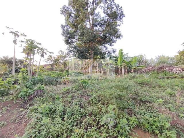 Terreno para Venda em Ibiúna - 5