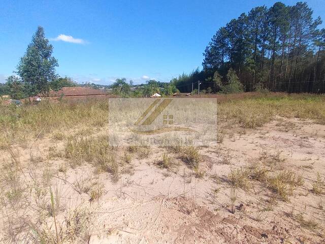#893 - Terreno para Venda em Ibiúna - SP - 1
