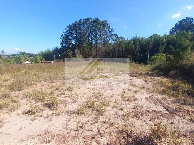 #893 - Terreno para Venda em Ibiúna - SP - 2