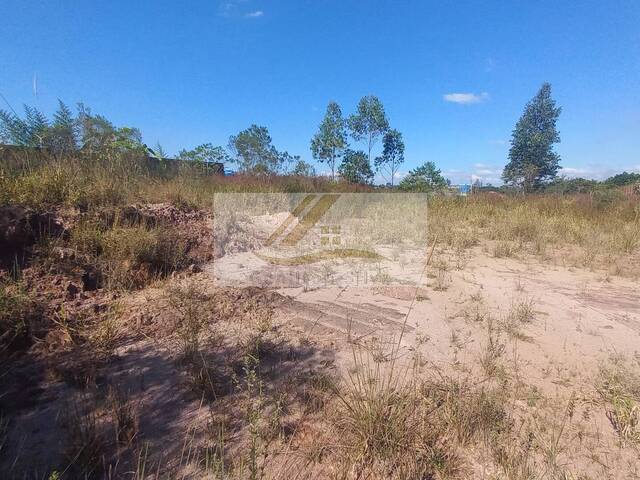 #893 - Terreno para Venda em Ibiúna - SP - 3