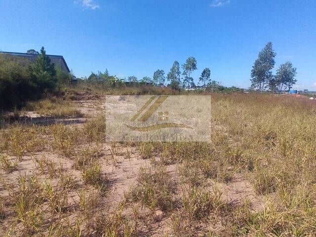 Terreno para Venda em Ibiúna - 4