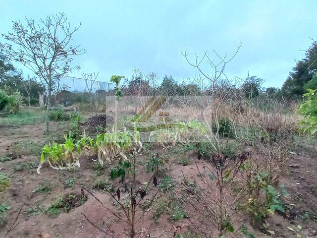 #925 - Terreno para Venda em Ibiúna - SP - 2