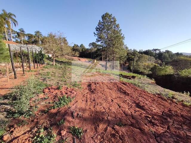 Terreno para Venda em Ibiúna - 4