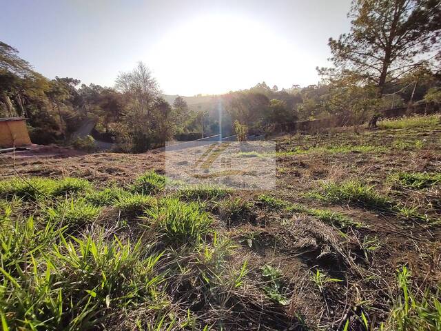 #944 - Terreno para Venda em Ibiúna - SP - 3