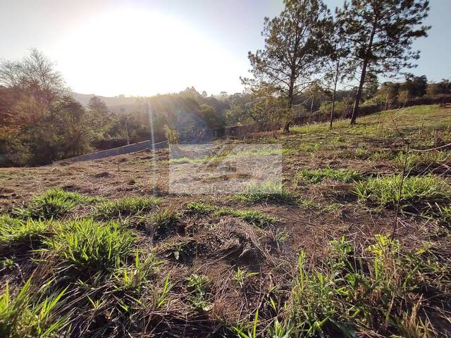 Terreno para Venda em Ibiúna - 4