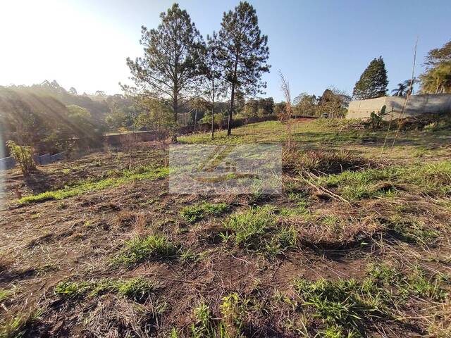 Terreno para Venda em Ibiúna - 5