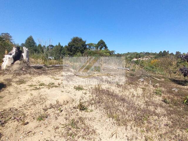 #951 - Terreno para Venda em Ibiúna - SP - 3