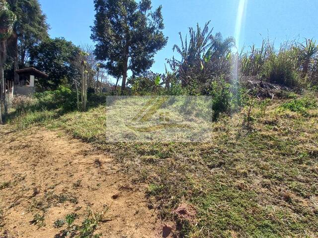 Terreno para Venda em Ibiúna - 5