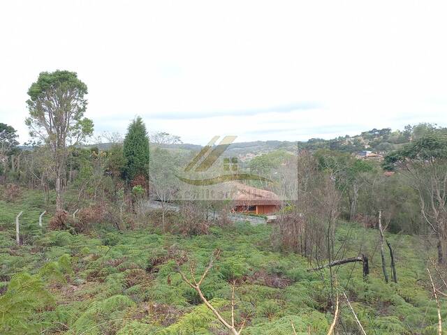 #958 - Terreno para Venda em Ibiúna - SP - 3
