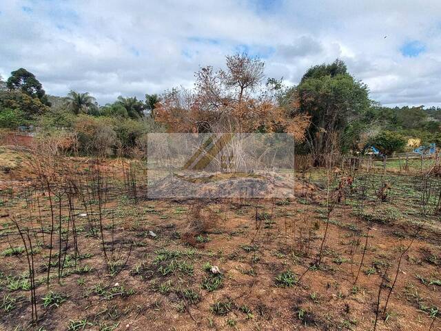 #959 - Terreno para Venda em Ibiúna - SP - 3