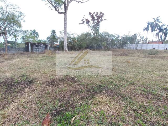 #972 - Terreno para Venda em Ibiúna - SP - 1