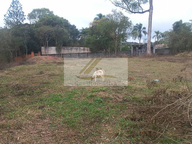 #972 - Terreno para Venda em Ibiúna - SP - 2