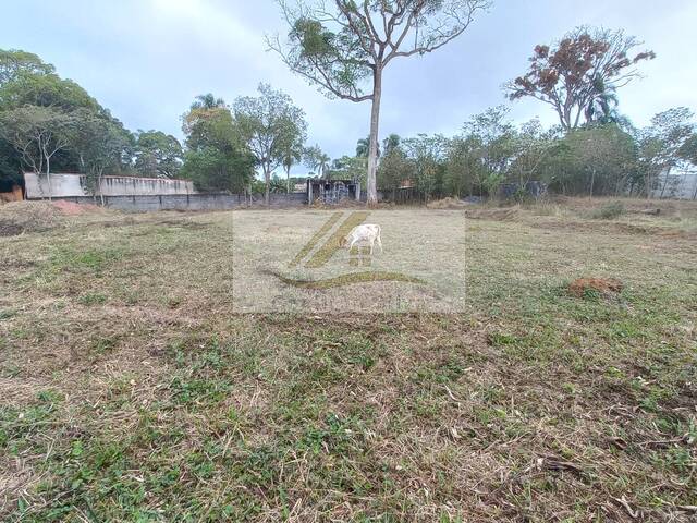 #972 - Terreno para Venda em Ibiúna - SP - 3