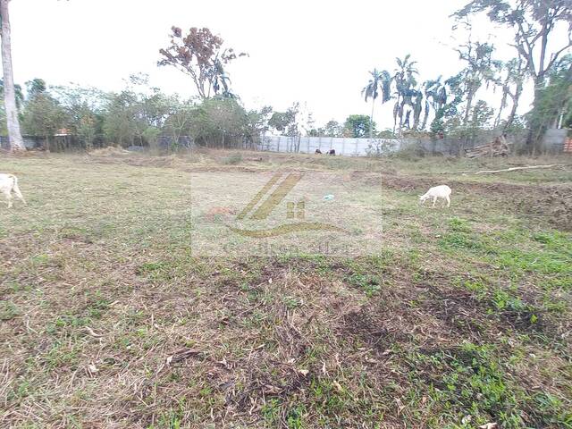 Terreno para Venda em Ibiúna - 4