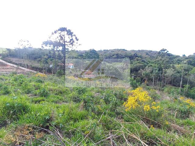 #975 - Terreno para Venda em Ibiúna - SP - 1