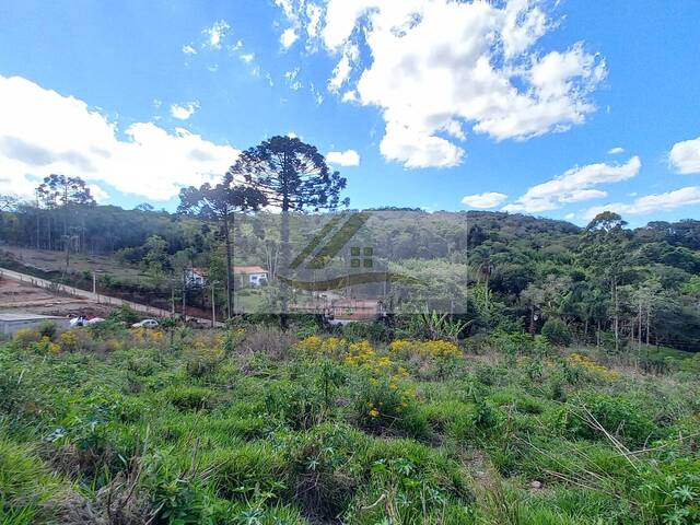 #975 - Terreno para Venda em Ibiúna - SP - 3