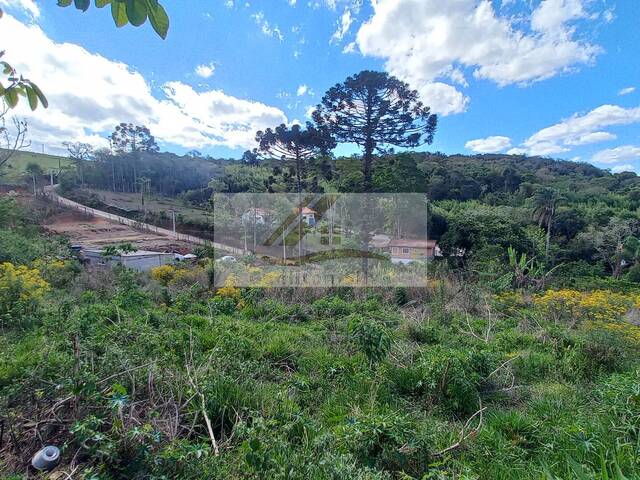 Terreno para Venda em Ibiúna - 4