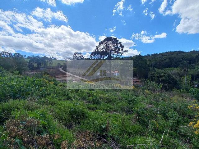 Terreno para Venda em Ibiúna - 5