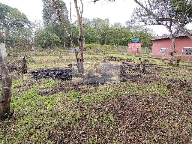 #985 - Terreno para Venda em Ibiúna - SP - 3
