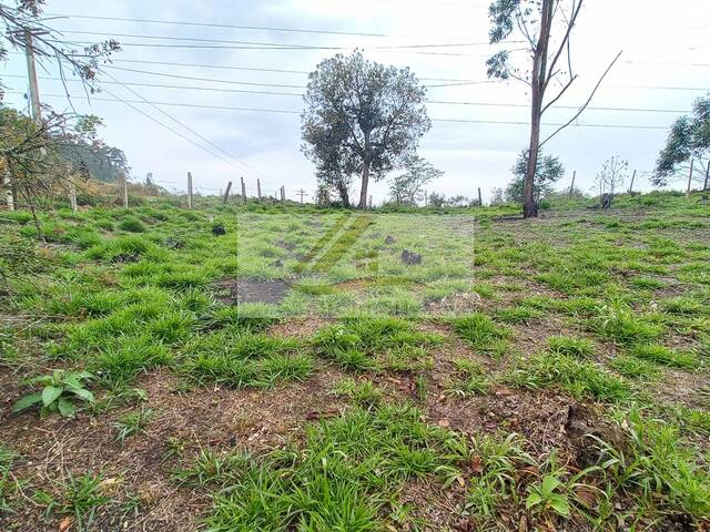 #988 - Terreno para Venda em Ibiúna - SP - 1