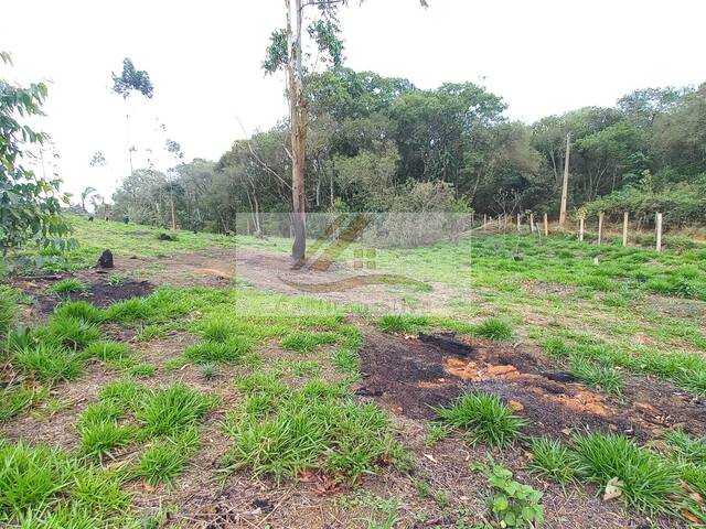 #988 - Terreno para Venda em Ibiúna - SP - 3