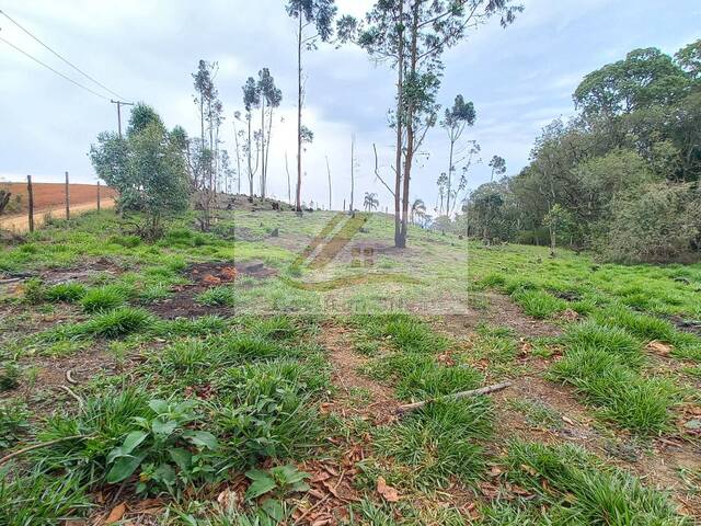Terreno para Venda em Ibiúna - 4