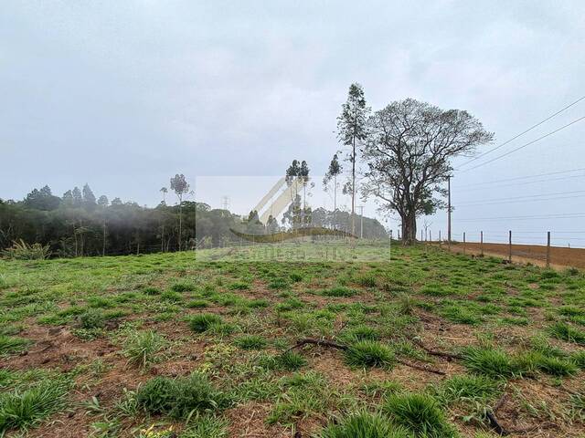 #989 - Terreno para Venda em Ibiúna - SP - 1