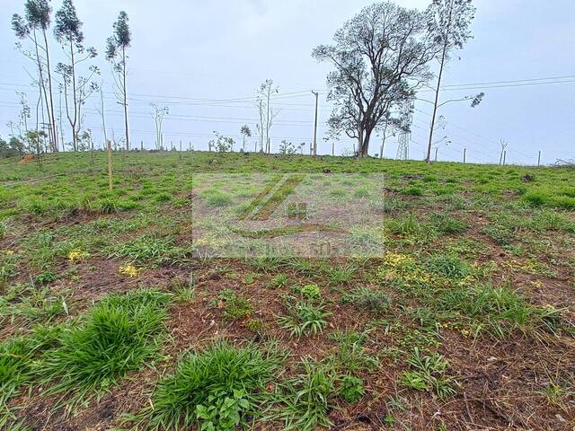 #989 - Terreno para Venda em Ibiúna - SP - 2
