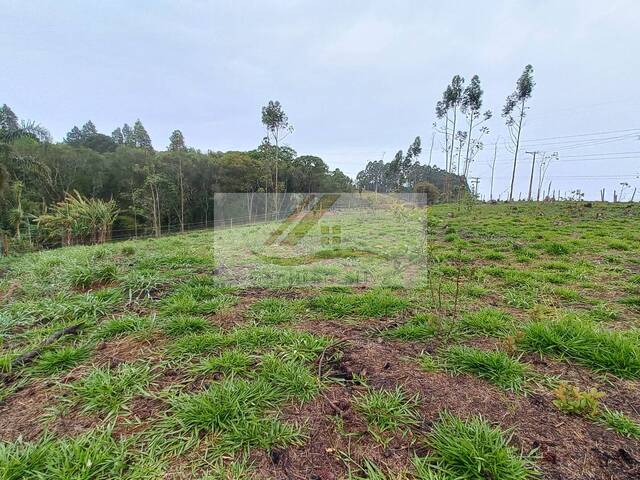 #989 - Terreno para Venda em Ibiúna - SP - 3